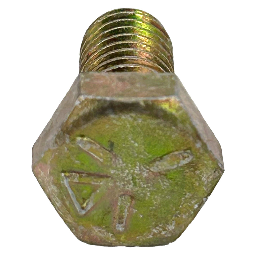 243195 - HEX BOLT
