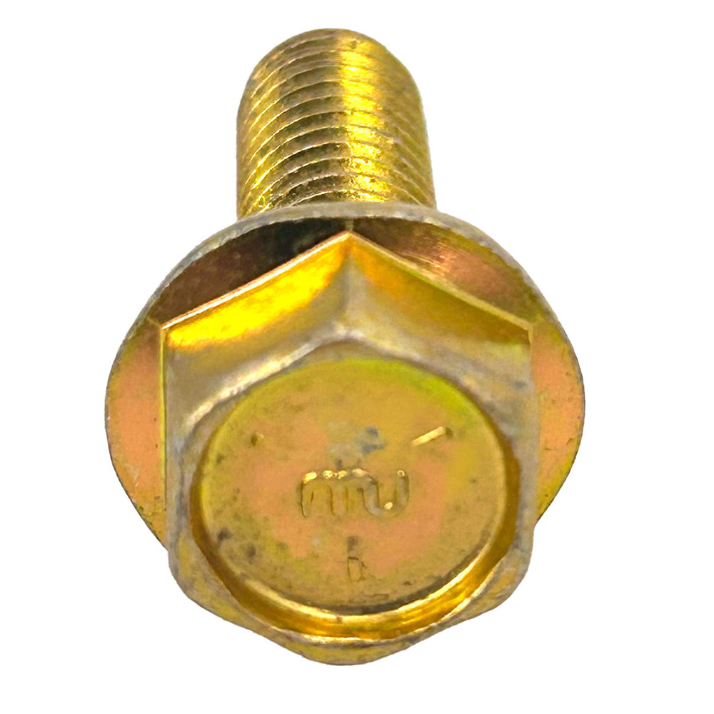 253193 - BOLT WHIZ HEX FLANGE
