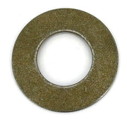 257319 - WASHER - SPRING