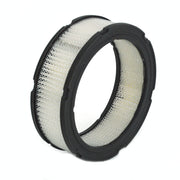 100920 - FILTER - AIR BRIGGS