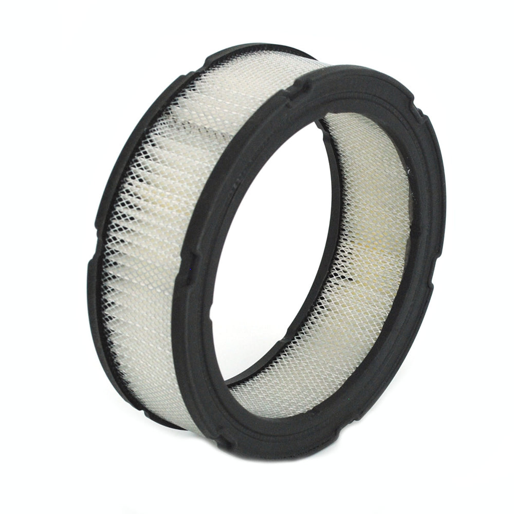 100920 - FILTER - AIR BRIGGS